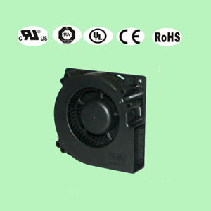 榴莲视频在线观看下载12032