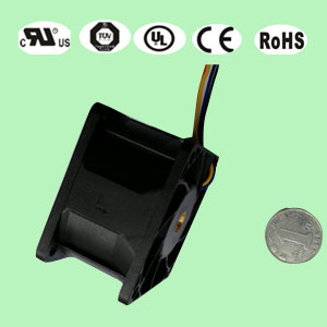 6038榴莲视频在线观看下载